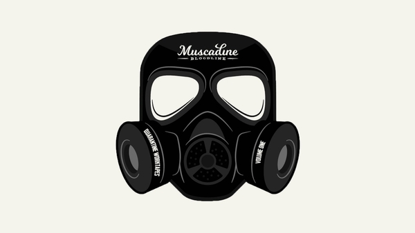 Muscadine Bloodline Finds Creativity In Quarantine